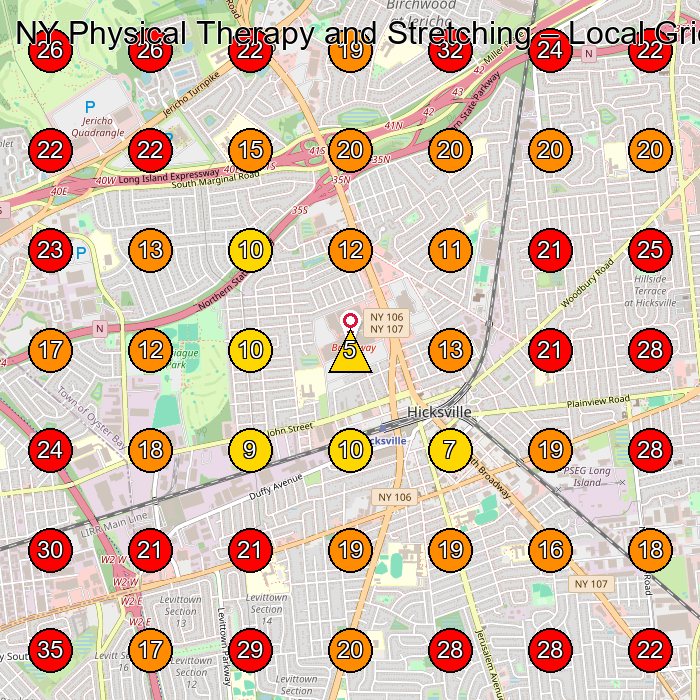 NY Physical Therapy and Stretching GeoGrid visibility map for Chiropractor in Hicksville